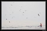 Lonely Fisherman